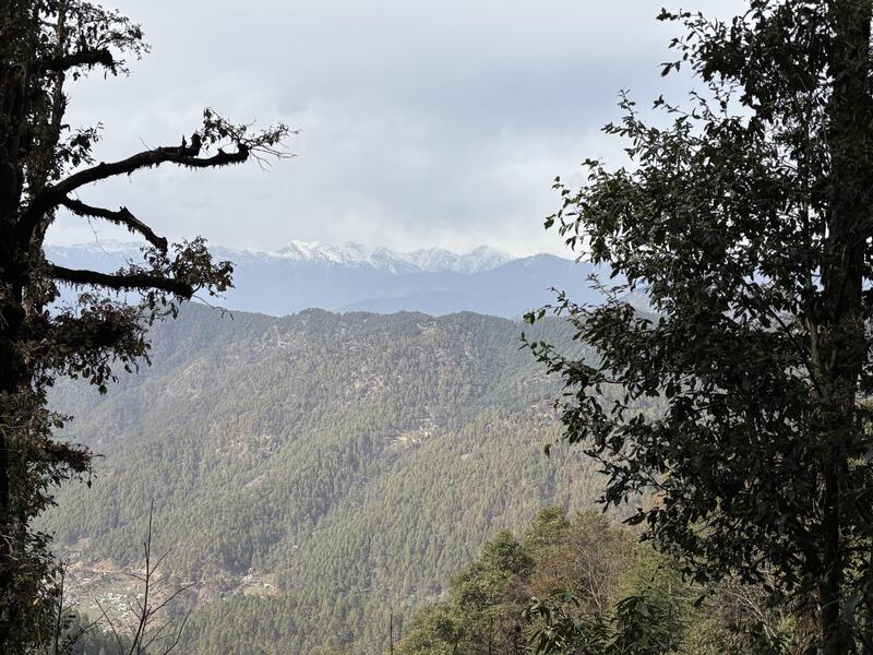 ナチケタ②（ヒマラヤ）.jpgのサムネイル画像