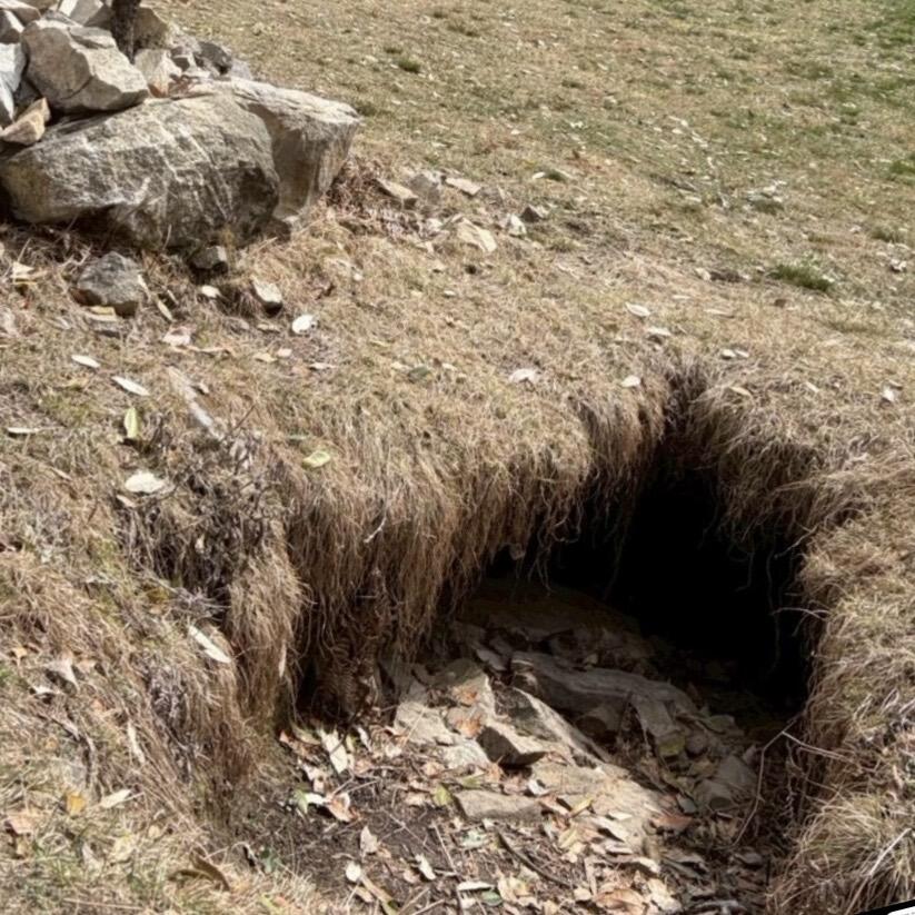 死の国への入口.jpgのサムネイル画像